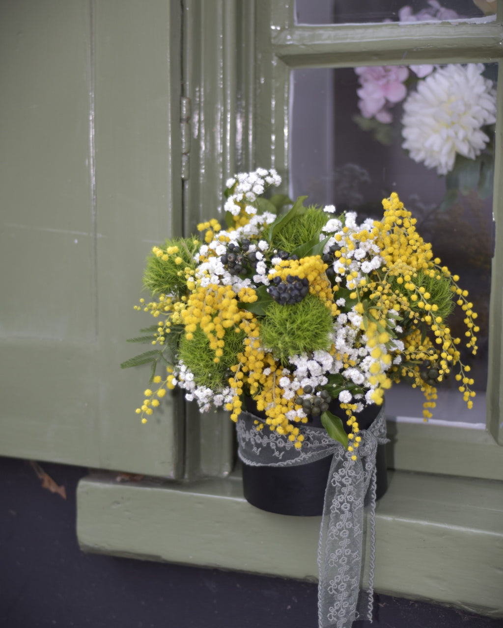 Mimosa Lumière