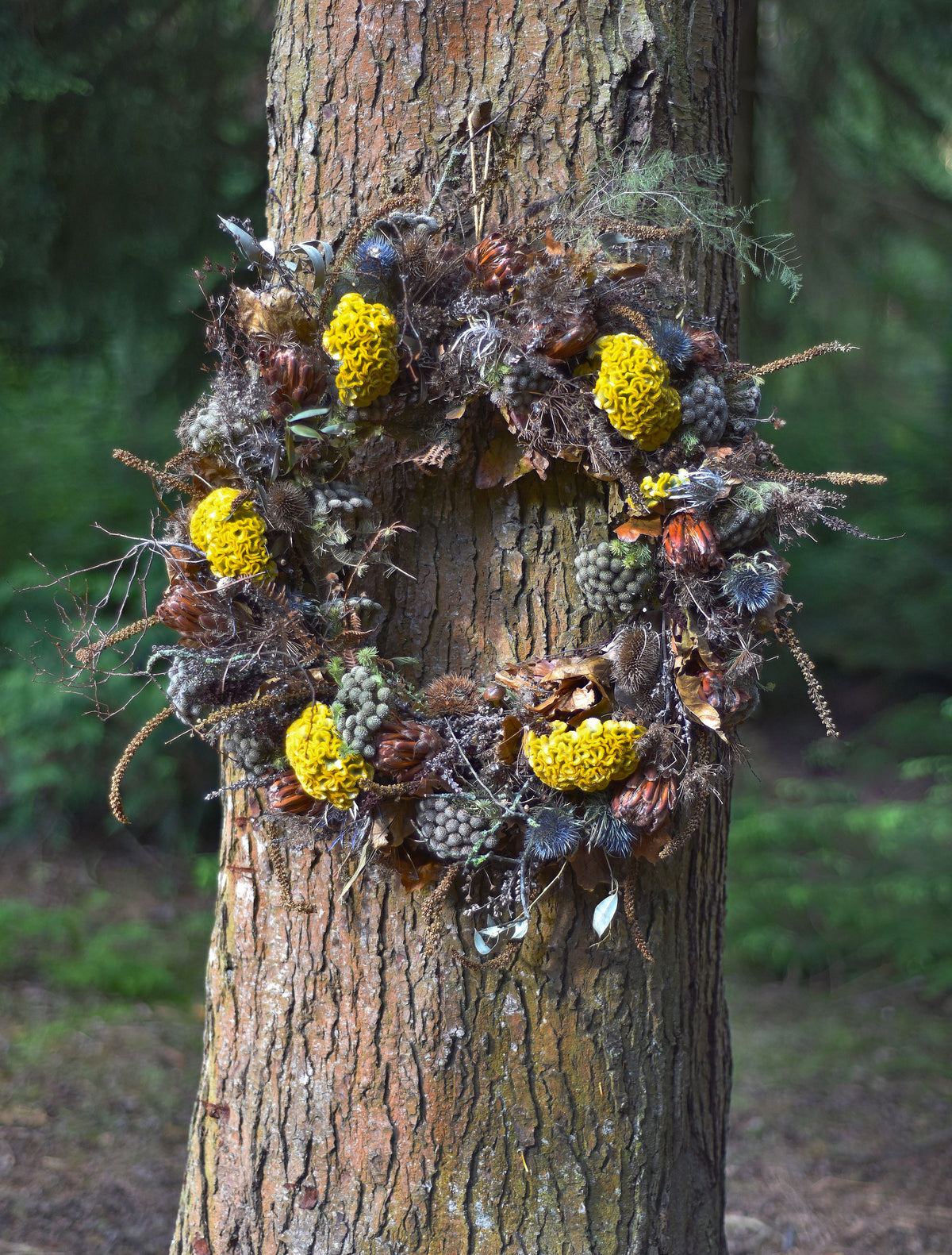 Forest Nymph Wreath