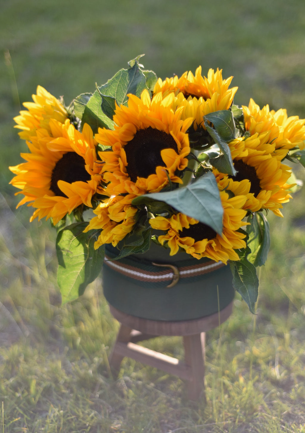 Bucket O' Sun Bouquet