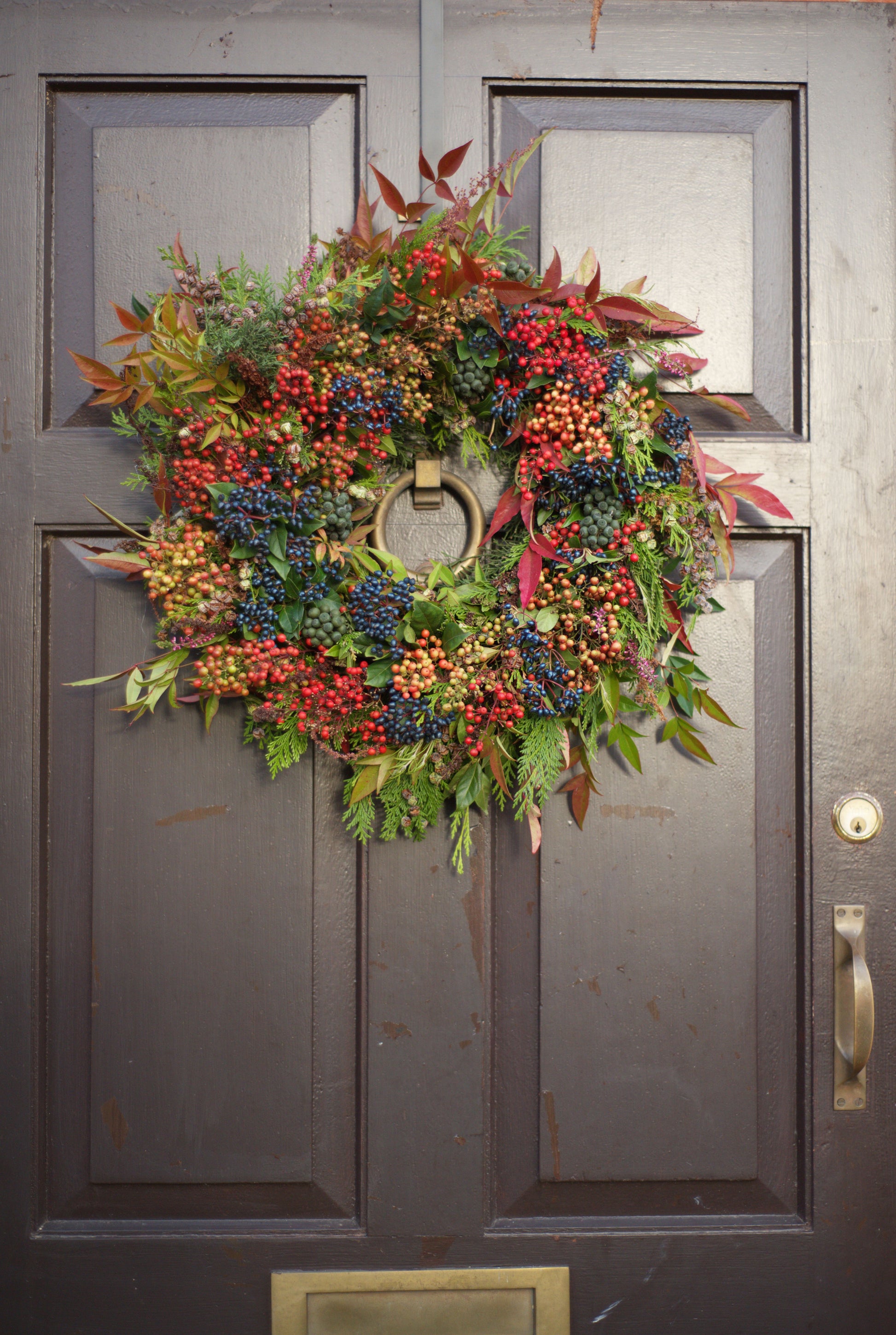 Winter Wonder Jungle