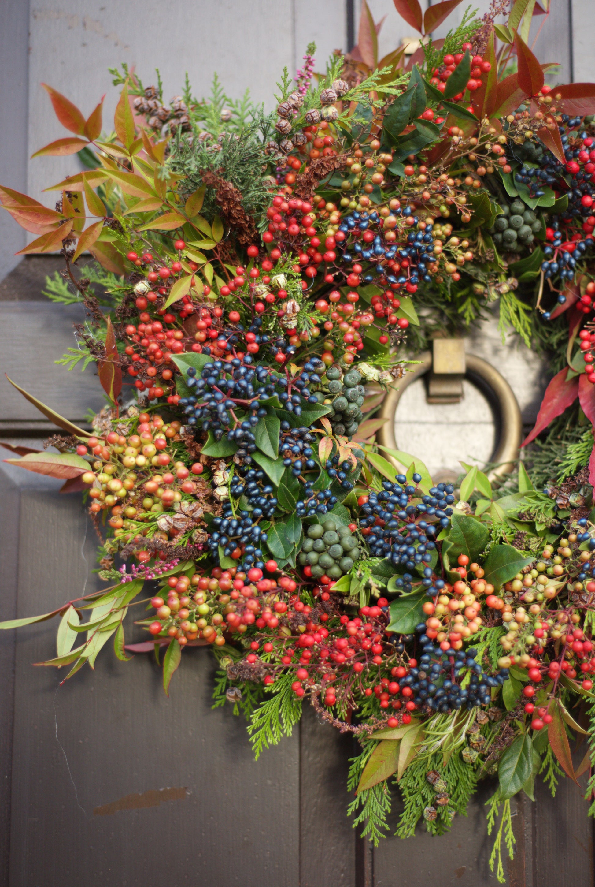 Winter Wonder Jungle