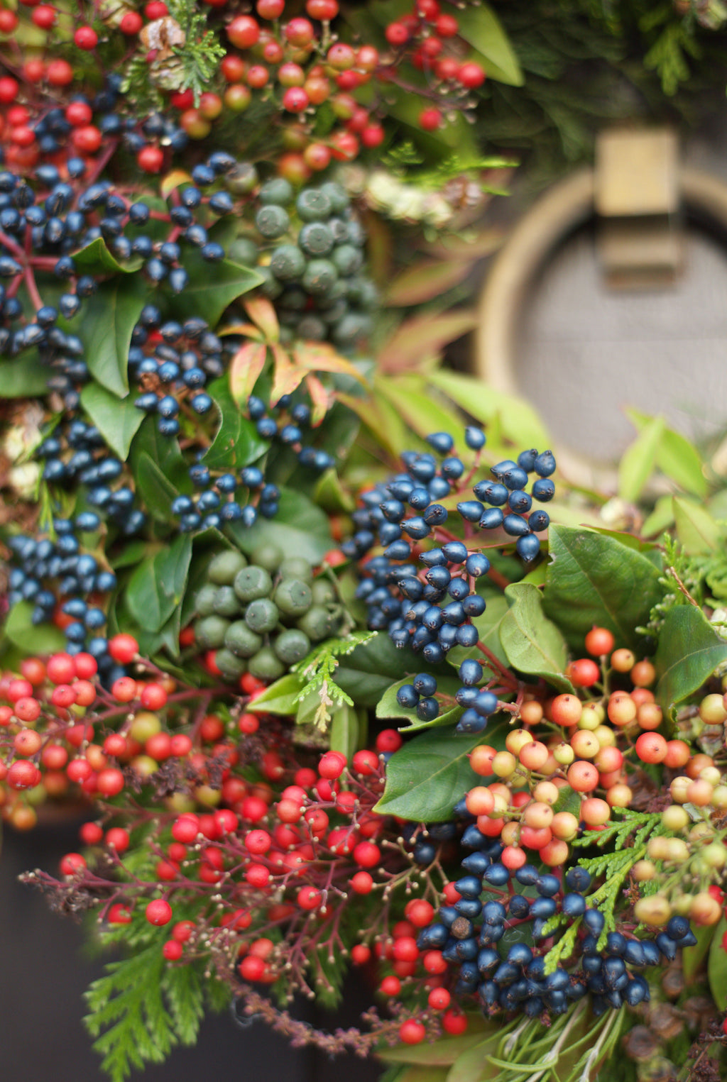 Winter Wonder Jungle